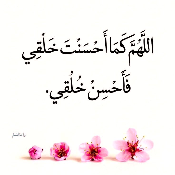 Nawal_Azlz tweet media