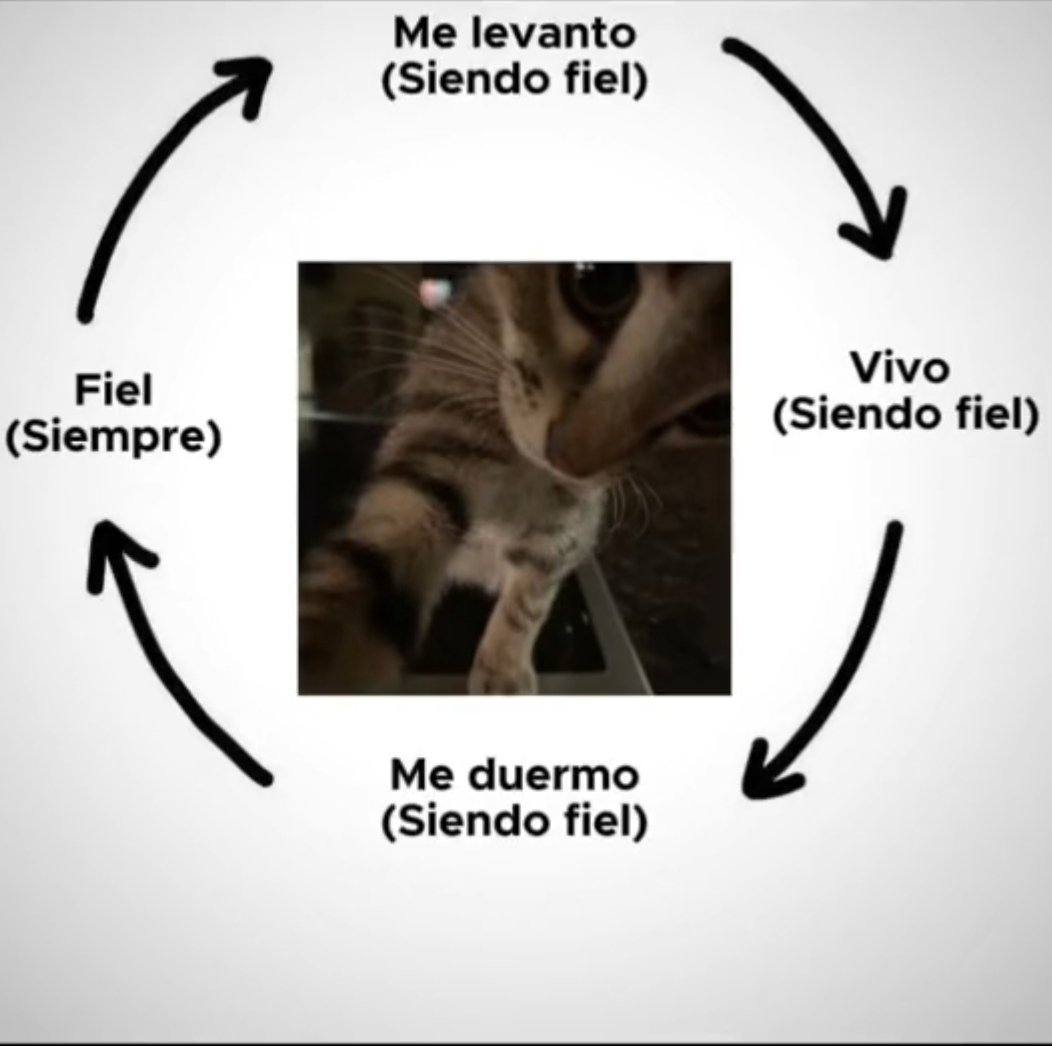 Si soy