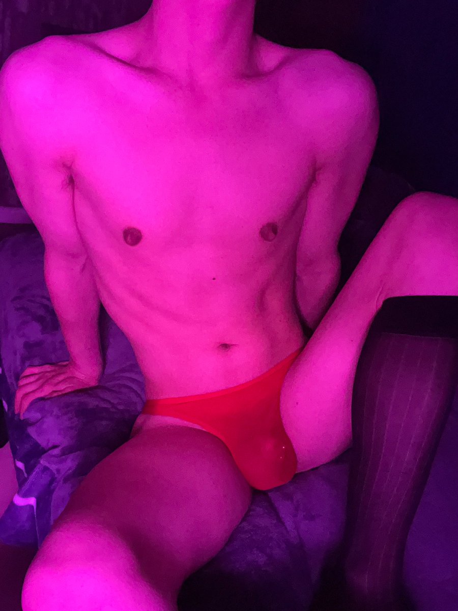 菊诱茎 tweet media