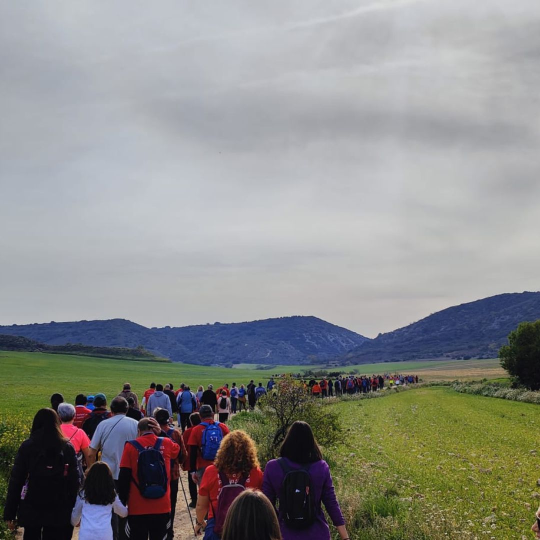 Ayto_Torres's tweet photo. Torres acogió la décimo segunda etapa del Camino de Cervantes. Más de 400 caminantes participaron en la ruta que recorrió Montealto.

El alcalde @joseteblanco  junto con los voluntarios de @Protetorres ofrecieron un tentempié a todos los que concluyeron la etapa. https://t.co/DGelsB1wIG