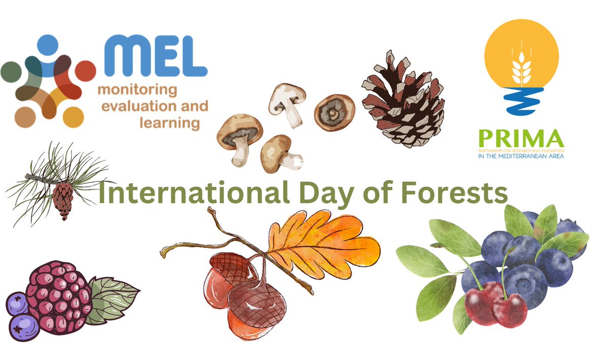 .<a href="/WildFood_PRIMA/">Wildfood PRIMA Project</a> project, funded by <a href="/PrimaProgram/">PRIMA Program Mediterranean Partnership 🇪🇺</a> and NFAs: #AEI <a href="/AgEInves/">Agencia Estatal de Investigación</a> #MIUR, #FCT, <a href="/fct_pt/">FCT - Fundação para a Ciência e a Tecnologia</a>, #ARRS, #MHESRcoordinated by <a href="/ctforestal/">CTFC</a> aims on value-chains of mushrooms, truffles, pine nuts, aromatic plants, acorns and berries. Hence, MEL celebrates #InternationalDayofForests.