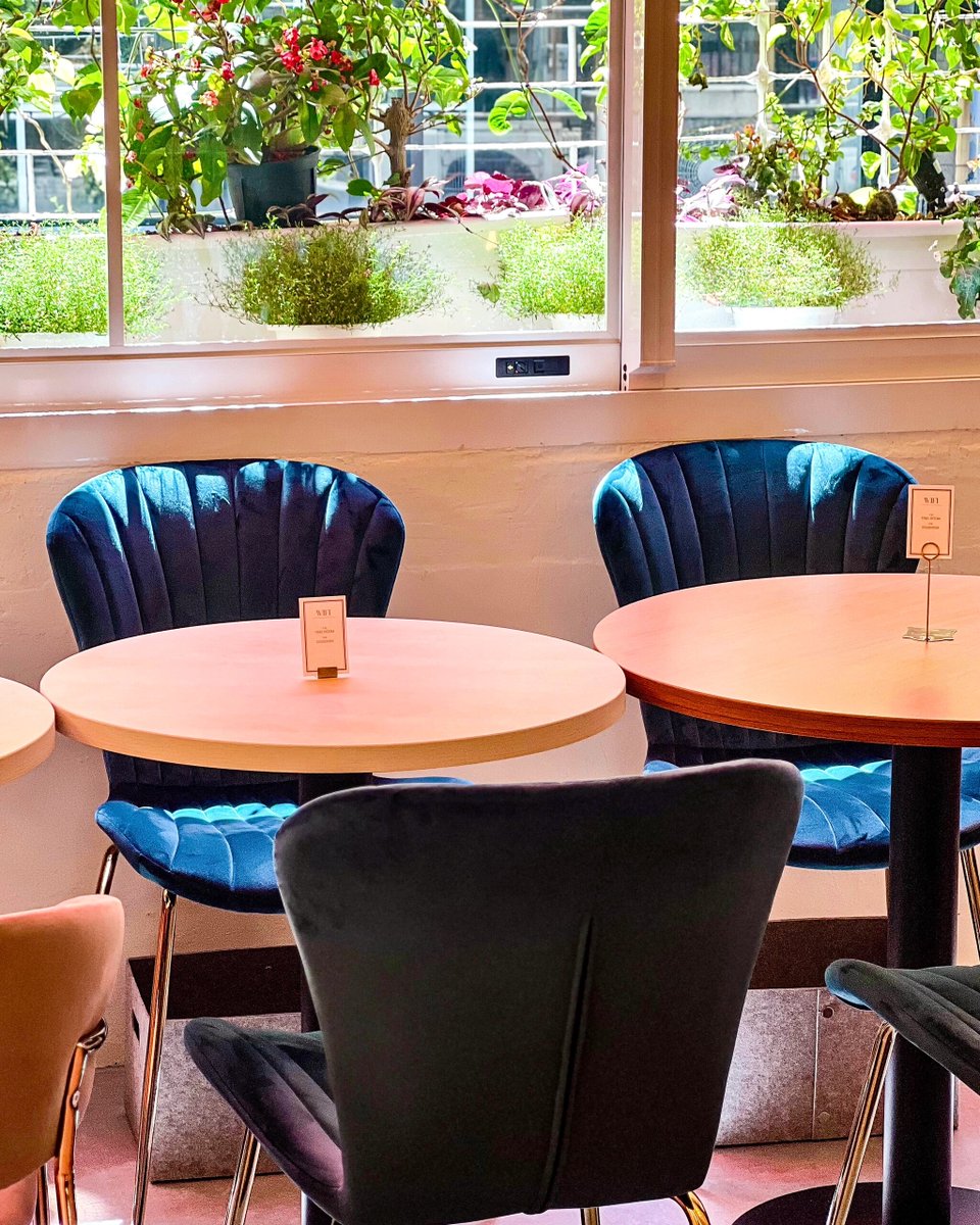 小さな命が旅を通じてたくさんの冒険に出会う。