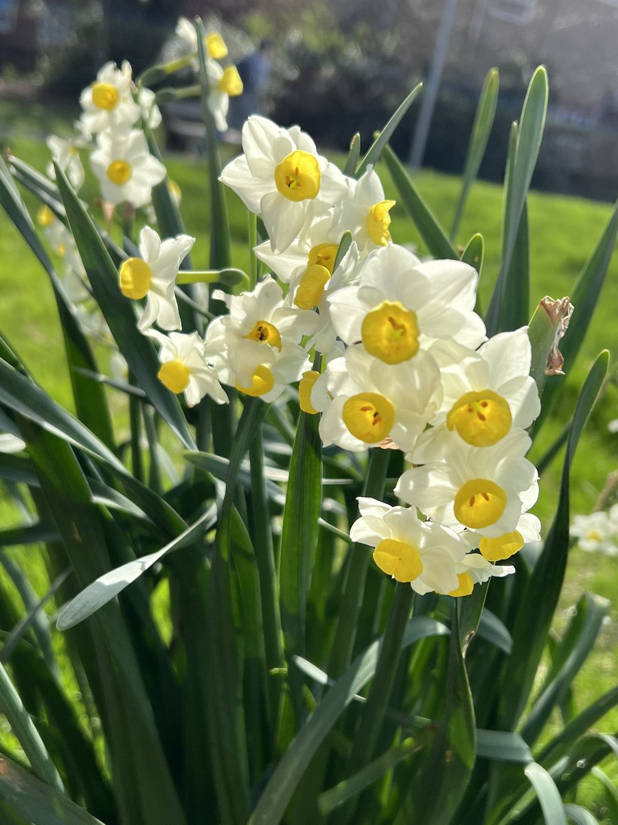 Tracey McClelland tweet media