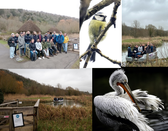 The SDDC team all enjoyed a great day out in Arundel on Friday 15th March - a tour of the Centre, a boat ride and lots of bird watching - see the photos below: wwt.org.uk/wetland-centre…