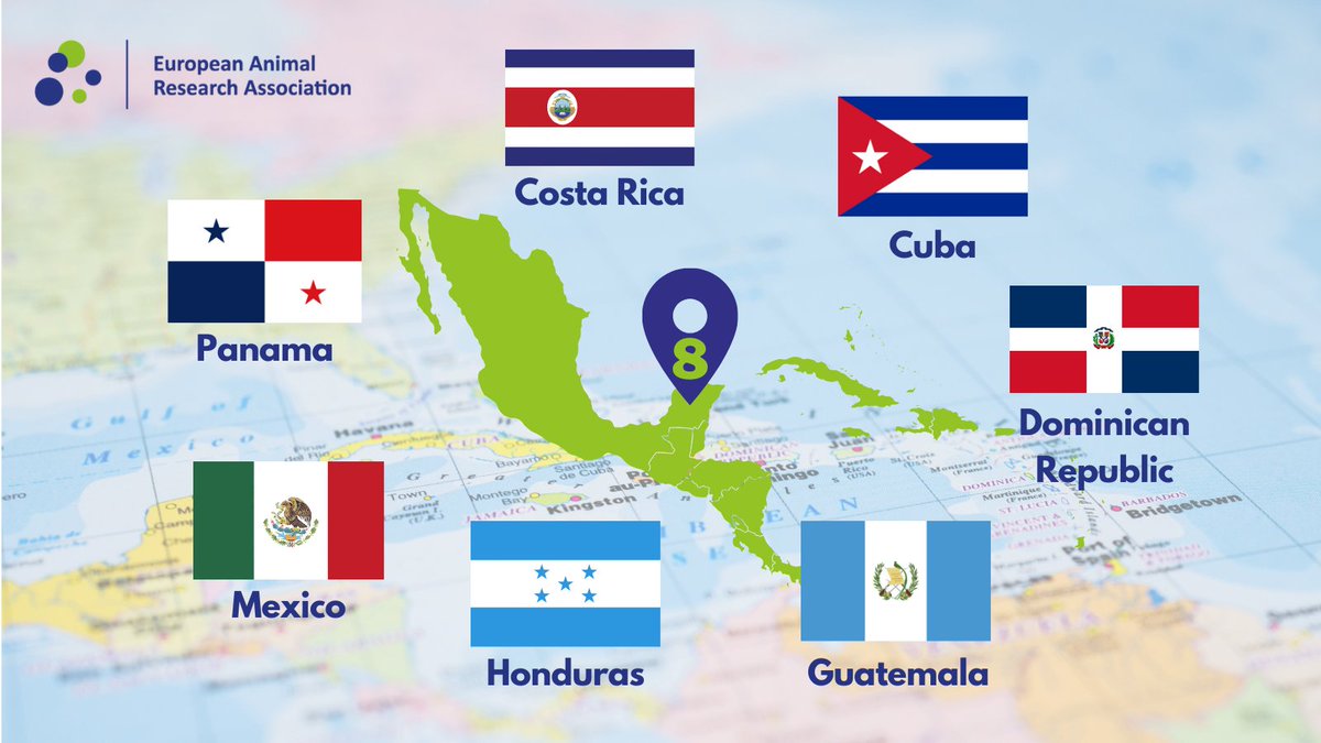 🌎 We recently announced that @fesahancccal has joined EARA! 🎉 This means #EARA membership now includes Central America, with the joining of the laboratory animal associations in 7 countries, plus FESAHANCCCAL! 👉 See our full list of members eara.eu/our-members