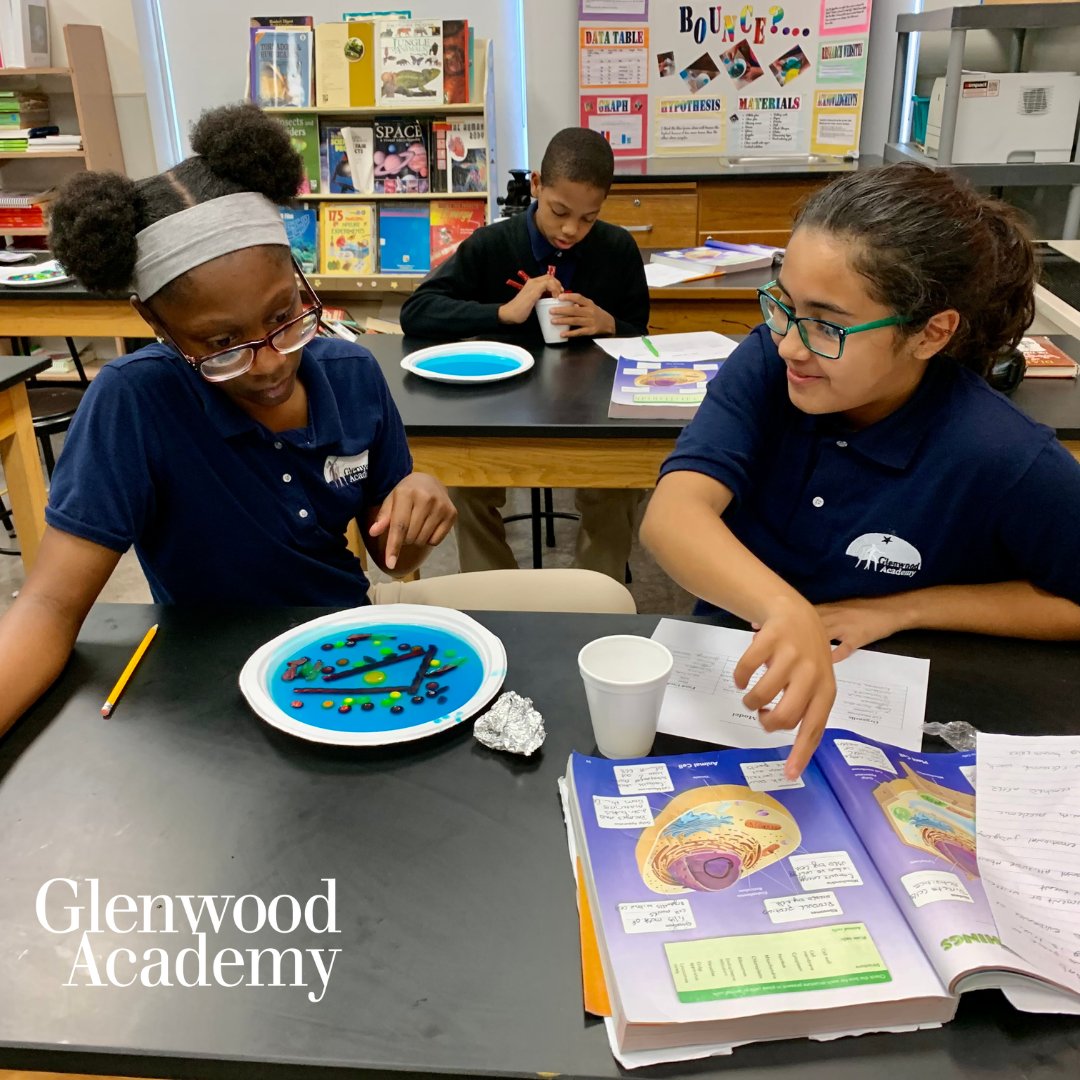 Unlocking a world of possibilities through education! 📚✨ At Glenwood Academy, we believe learning is fundamental. Join us on the journey of knowledge, growth, and endless opportunities. #EducationMatters #GlenwoodAcademy #LearningIsFundamental