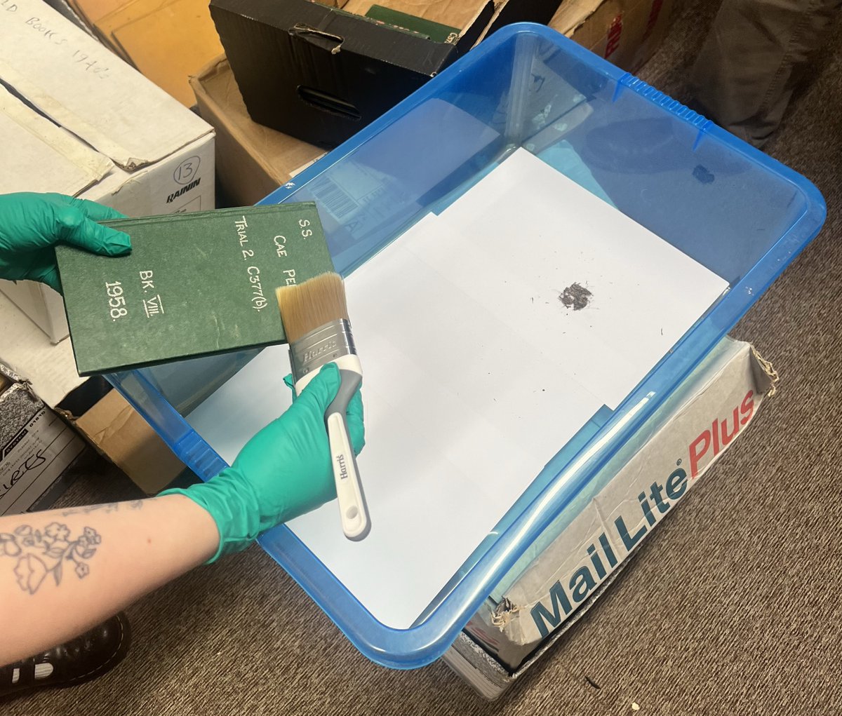 Plant Phenomics tweet media