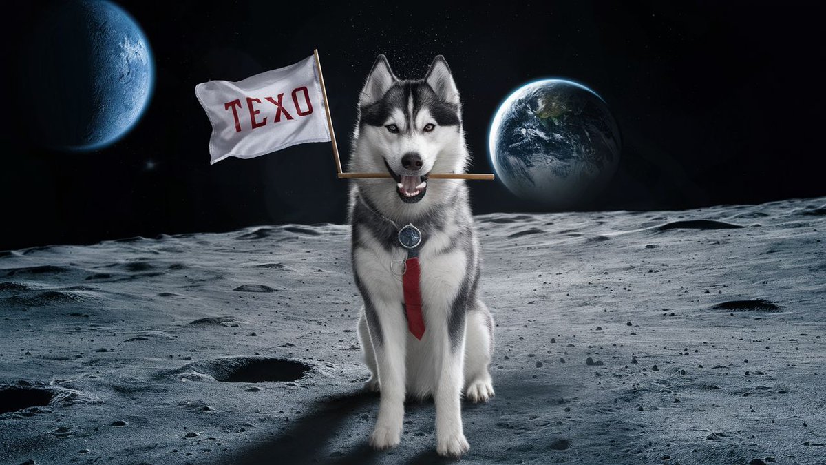 TEXObrc20's tweet photo. "Transforming the crypto landscape with #TEXO! ππ Secure, decentralized, and ready for the future. #TexoCoin"
β‘οΈβ‘οΈβ‘οΈβ‘οΈβ‘οΈ
Visit Us : https://t.co/0E1tOpXUeb
β‘οΈβ‘οΈβ‘οΈβ‘οΈβ‘οΈ
Buy Now : https://t.co/tOWlpeUX52
β‘οΈβ‘οΈβ‘οΈβ‘οΈβ‘οΈ
#Binance #Bitcoin #brc20 #Brc20Sat #texo https://t.co/ng1pkRBCTO