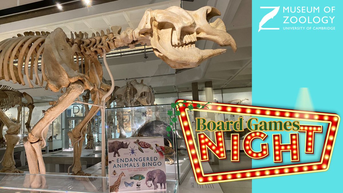 Feeling competitive? 😉Ever played Endangered Animals Bingo? This Wed 20 March is your chance! All in the atmosphere of the Museum galleries at night. Bar open + 10% off at the Museum shop 🐧 Book ahead, tickets £5. tickets.museums.cam.ac.uk/8188/8190 @CamUnivMuseums @Cambridge_Fest