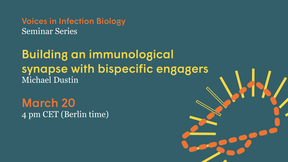 📢 Voices in Infection Biology Join us for a seminar with Michael Dustin from @KirOxford, kindly hosted by @mtaylor_Berlin. 🗓️ Wednesday, March 20 🕓 4 pm CET (Berlin time) Registration and abstract: mpiib-berlin.mpg.de/events/37163/2…