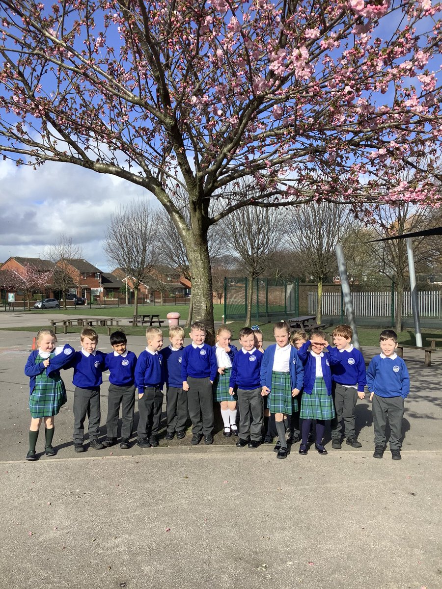 1B_stjohns's tweet photo. This morning we went outside for a walk to look for signs of Spring!We noticed it was a bit warmer and the sun was shining. We didn’t need our coats 🌞🌸 https://t.co/NeMcFq8ecf