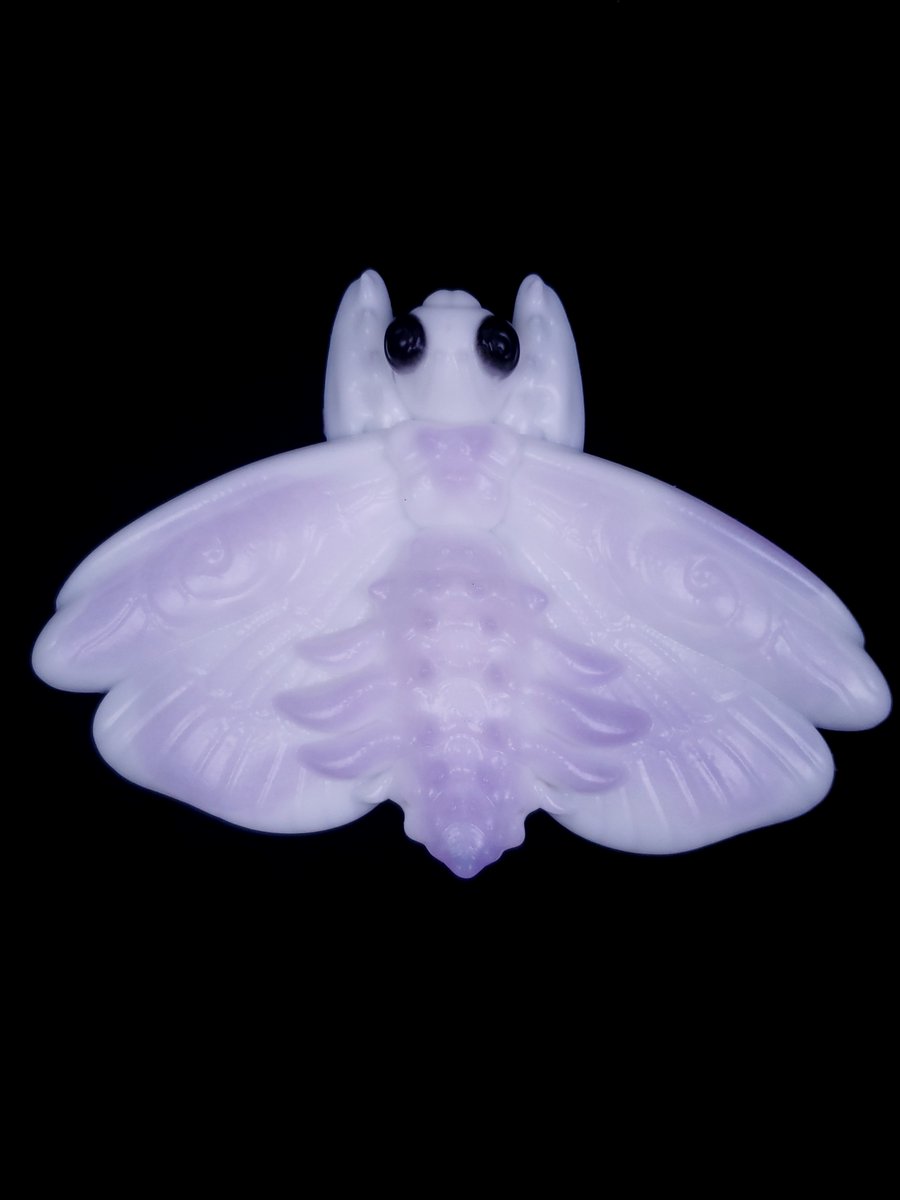 GelatinousC's tweet photo. Thanks to all for such a great drop! Several Mantis friends and more still in stock. I'll be working on orders later this evening. We do combine shipping for the first 24 hrs. Have a great day! https://t.co/b20W5cO1Hy https://t.co/KyFAebrdx8