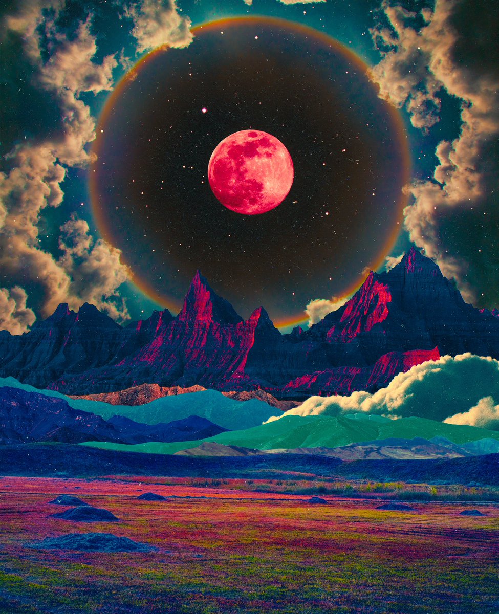 post wook ✨🌻 (@postwook) on Twitter photo 