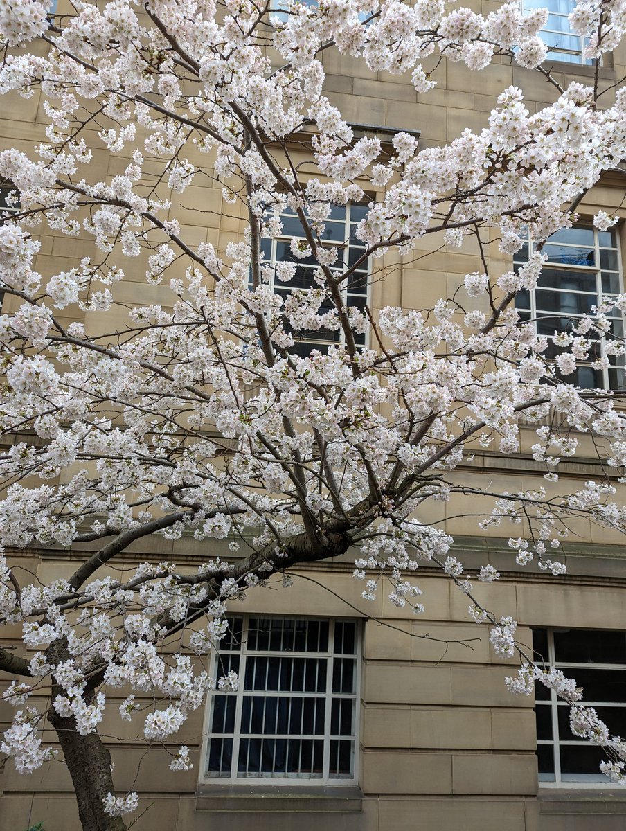 Julia Roebuck tweet media