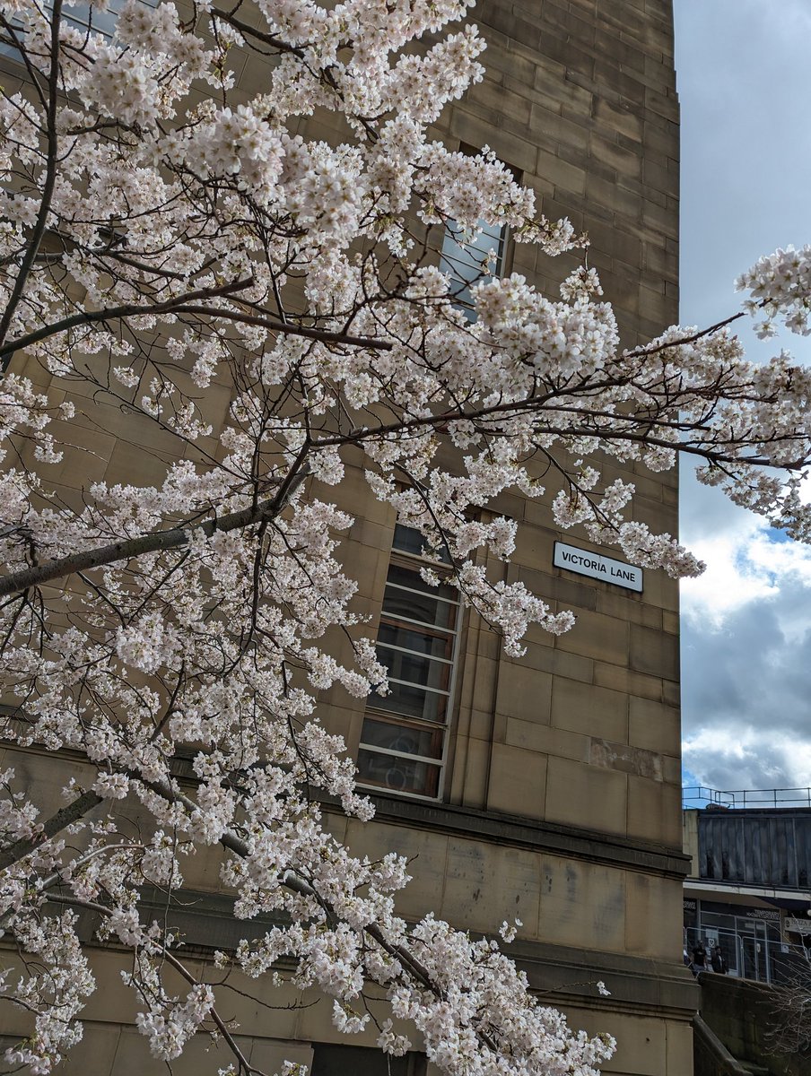 Julia Roebuck tweet media