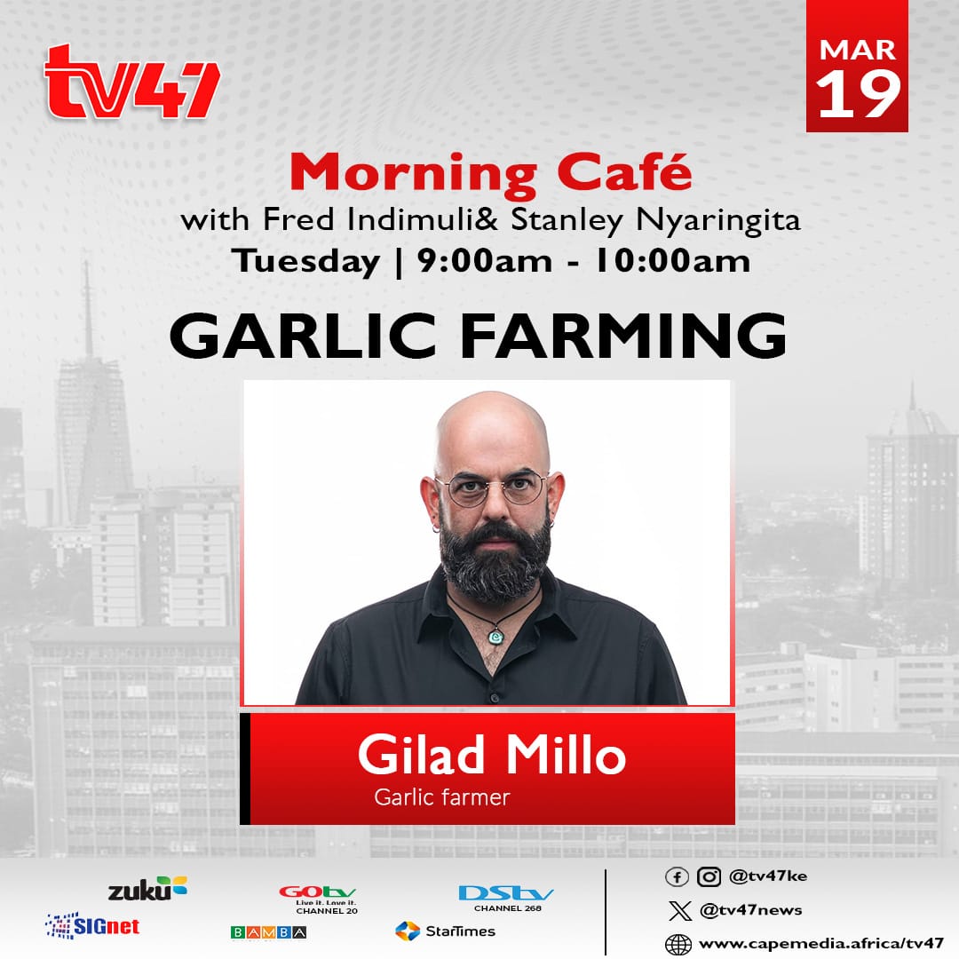 GiladMillo's tweet photo. Tune in 🧄🧄🧄 #OleRaha #GarlicFarming 🇰🇪 @tv47news https://t.co/T9duwx31Iu
