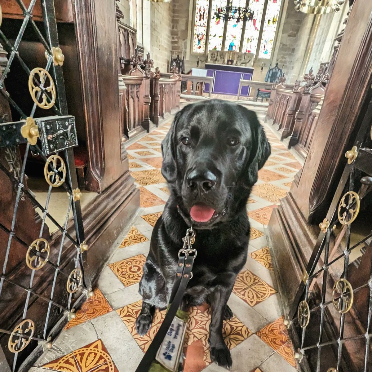 Enjoying #EnglishTourismWeek with free entry to @NTBaddesley & @LordLeycester at the weekend thanks to @TNLUK open week initiative. Bonus that 4 of my numbers came up. Now I am culturally and financially richer! 😁 #NationalLottery #EnglishTourismWeek24