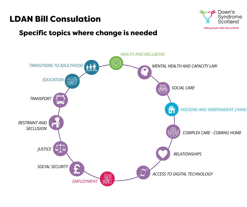 The proposed Learning Disabilities, Autism and Neurodivergence (LDAN) Bill covers lots of areas where change is needed, this week we highlighting the proposals the consultation offers on 4 key areas that people with Ds have told us could make a huge difference in their lives.