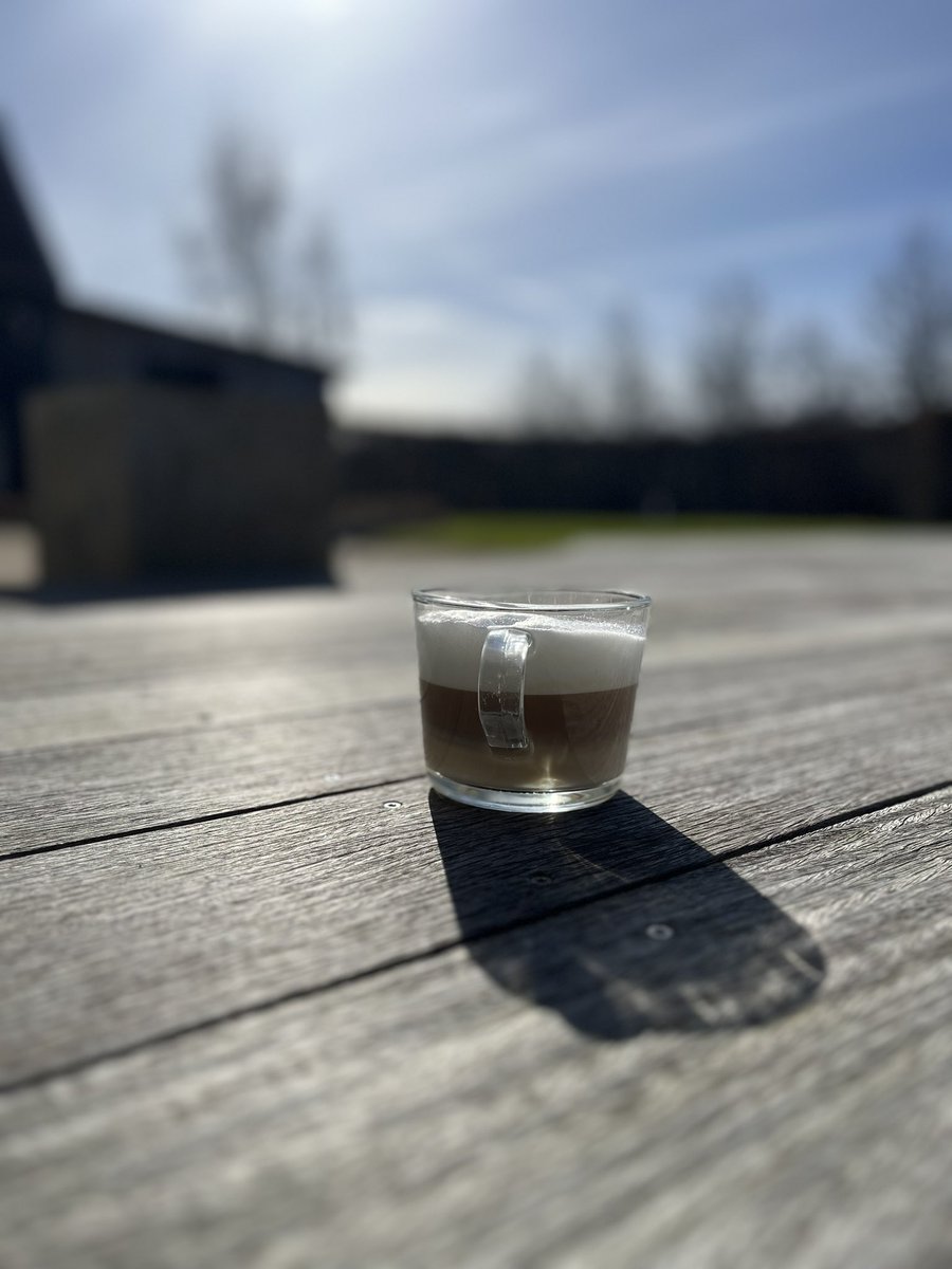 manlinger's tweet image. Våren är nära, trädgårdsfix på ledig dag:)