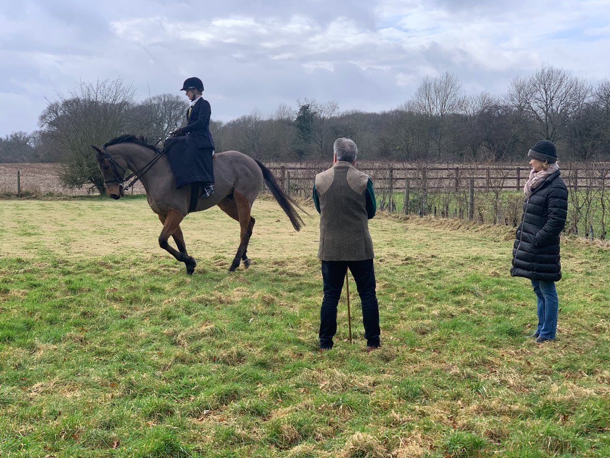 Did you catch RoR on TV this weekend? @TheJockeyClub Horse Of The Year winner Que Sera was featured on Love Your Weekend @TitchmarshShow on Sunday morning along with owner Jo Hales and RoR trustee, Celia Djivanovic. Watch the replay on @ITVX bit.ly/3vftGBR