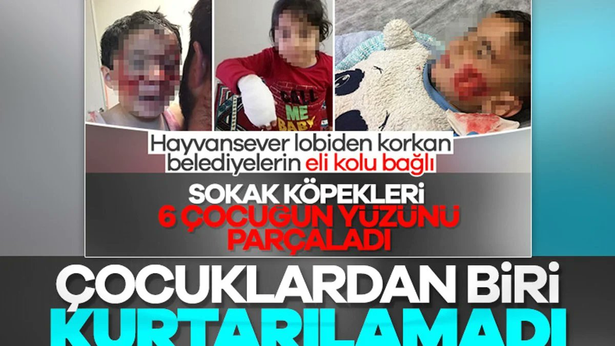 Davut Sana: 13 Nisan 2020 Şanlıurfa'nın Viranşehir ilçesinde evlerinin önünde oynayan 6 çocuğa köpek saldırdı, çocuklardan 5'i tedavi edilip taburcu edilirken yüzünden ağır yaralanan 2 yaşındaki #DavutSana kurtarılamadı. @sanliurfabld @UrfaValiligi ntv.com.tr/turkiye/sanliu…