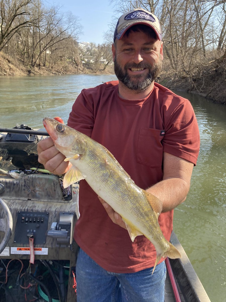 kyfisheriese's tweet photo. #Walleye are on the move!  Anglers are having success with the spring walleye runs in area streams and rivers now.  These fish were caught from the North Fork of the  #KYRiver.   Native walleye have been stocked here since 2015. #FishKY https://t.co/s3U5ZxlAKx