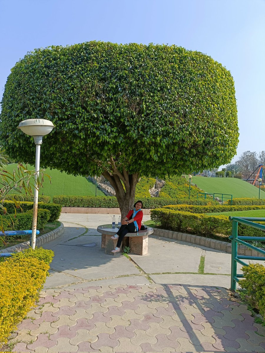 RakhiGangwar19's tweet image. सुंदर दृश्य
#funcity