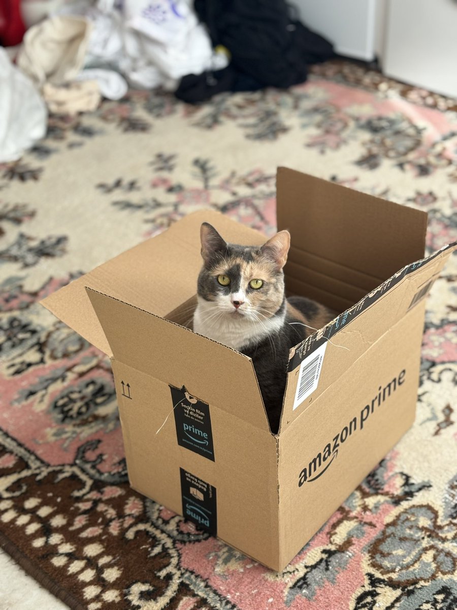 kovstack's tweet photo. siparişimin 24 saat dolmadan gelmesinden dolayı teşekkür ederim 🤝🏻 @amazon @AmazonNewsTR https://t.co/C9kK7ABqU4