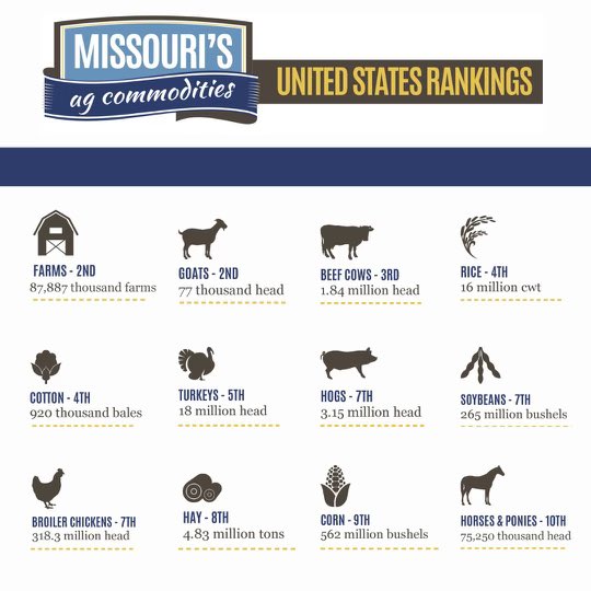 Recognizing #NationalAgWeek Missouri’s diverse agriculture from Hannibal to Rogersville, Savannah to Dexter and all points in between are shown on this product chart. @MOAgriculture