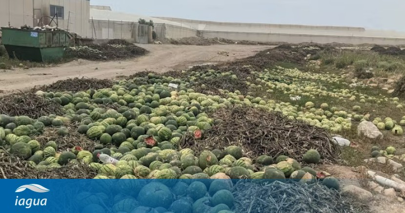 La espiral de la agricultura insostenible: de milagros económicos a la precariedad socioambiental dlvr.it/T4FFP9