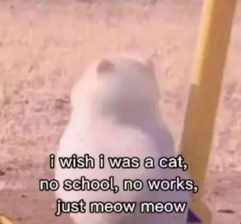 Monday mood