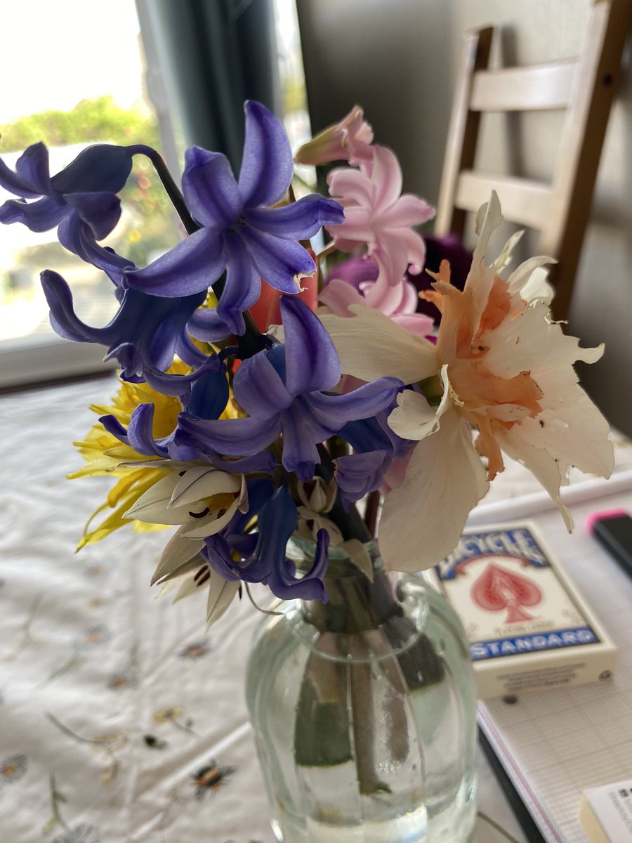 A small selection of wind blown over flowers from the garden, they smell amazing and look really nice too 🥰💐♥️ I love being able to grow flowers in the garden #GardeingX