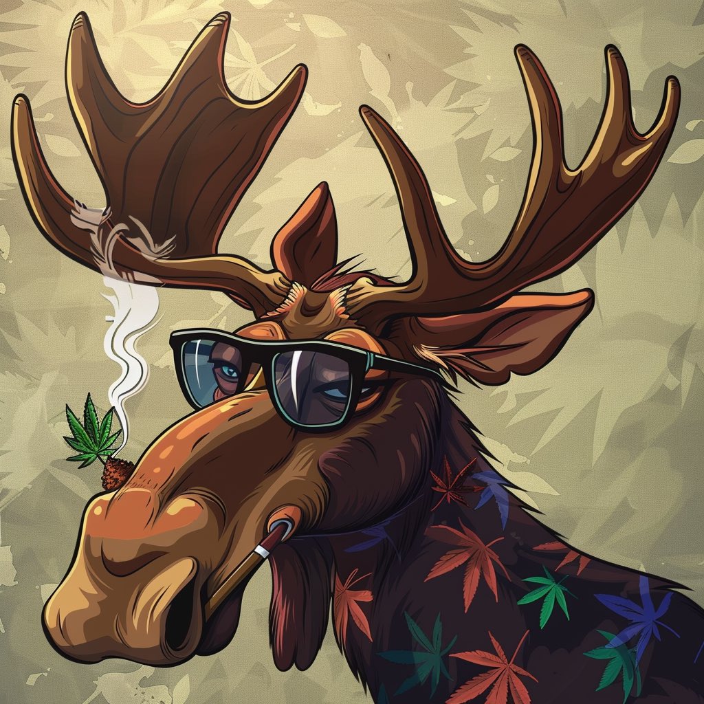 Moose tweet media