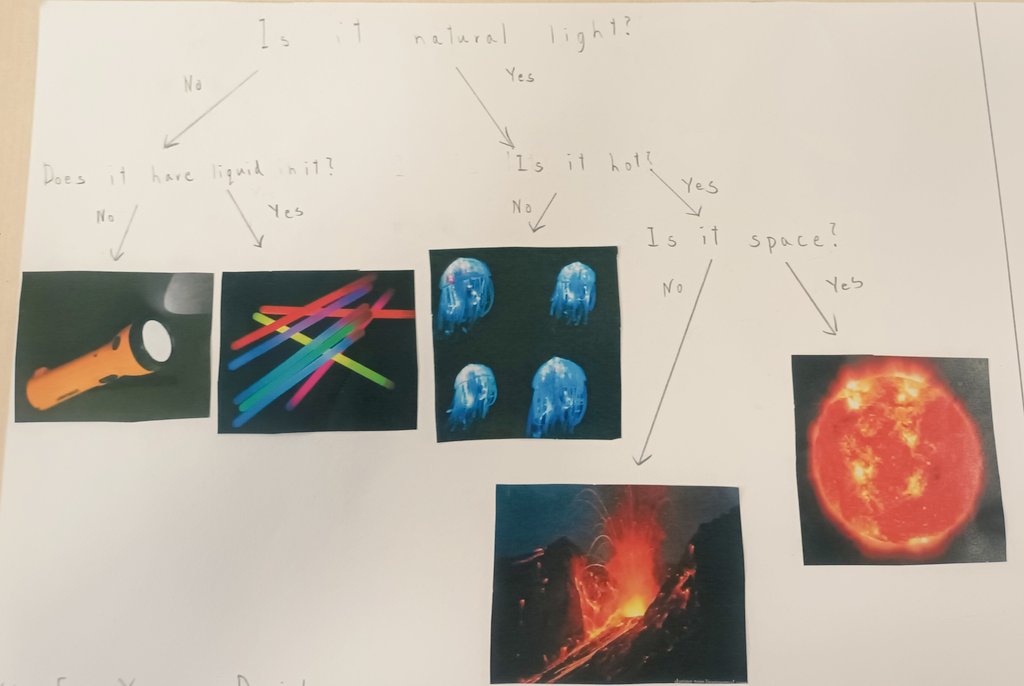 BalayanParul's tweet photo. With explicit focus on ATL Thinking skills, Year 6 students could
transfer skills and knowledge by using the learnt skills in multiple contexts#learning trajectory from novice-learner-practitioner-expert stage #Transferskills#Classification keys @TBS_Delhi
@Year6_TBS @cpd_tbs https://t.co/k6ZsRuch9S