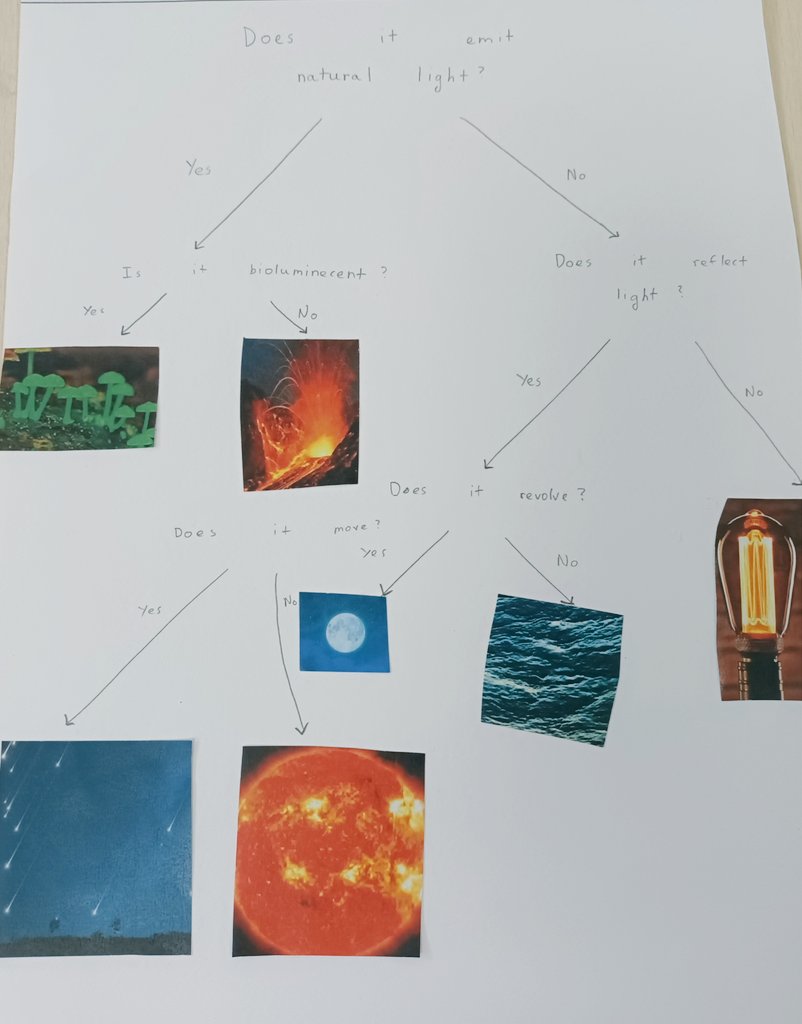 With explicit focus on ATL Thinking skills, Year 6 students could
transfer skills and knowledge by using the learnt skills in multiple contexts#learning trajectory from novice-learner-practitioner-expert stage #Transferskills#Classification keys <a href="/TBS_Delhi/">TBS Delhi</a>
<a href="/Year6_TBS/">Year6_tbsdelhi</a> <a href="/cpd_tbs/">CPD TBS</a>