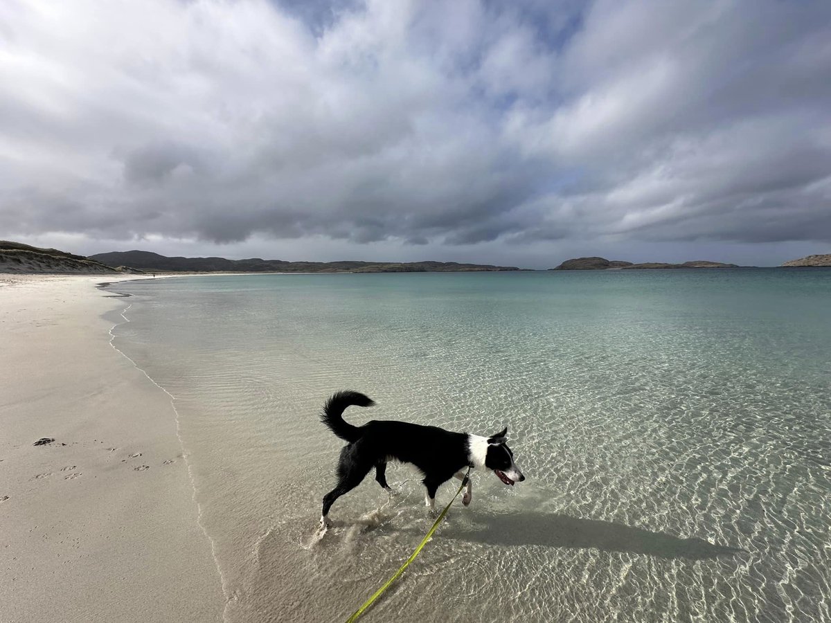 Guy Redwood tweet media