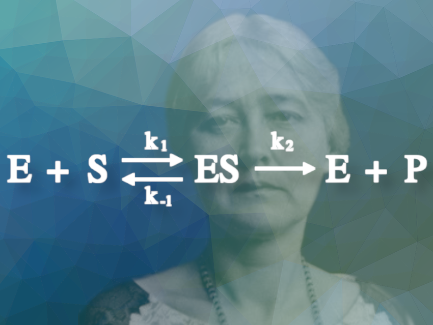 Maud Menten, born #onthisday in 1879, was one of the 1st women in Canada to graduate from medical school Together with Leonor Michaelis, and based on work by Victor Henri, she developed a theory of enzyme kinetics that is still known today as Henri-Michaelis-Menten kinetics