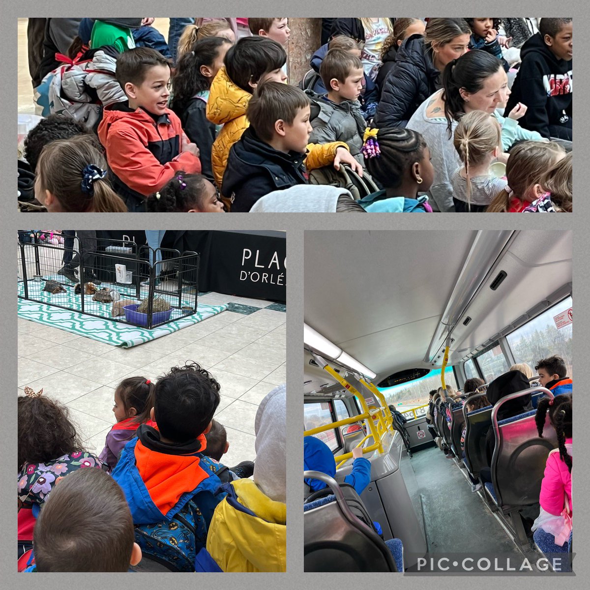 Wednesday of March Break we went to Place D’Orleans mall for a Zoo Crew show. We took 2 double decker buses 🚌, saw and touched animals, had our lunch in the food court and participated in a scavenger hunt! #MarchBreak2024