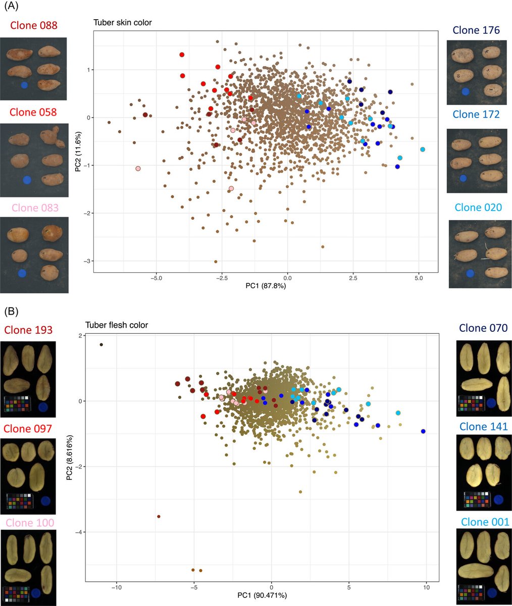 plantphenomej tweet picture