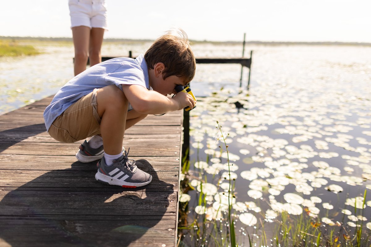 Tavistock Development Company tweet media