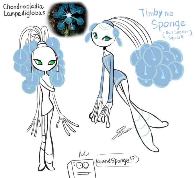 New OC made it.
Timby" is a beautiful sponge lady who appears only at night, deep in the depths of the ocean.
She is Chondrocladia lampadiglobus, even though she is a sponge(not square type.) 