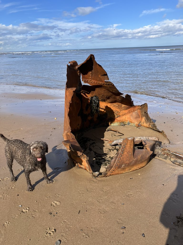 Amazing what the tides bring in ! WW1 or 2 wreck ?