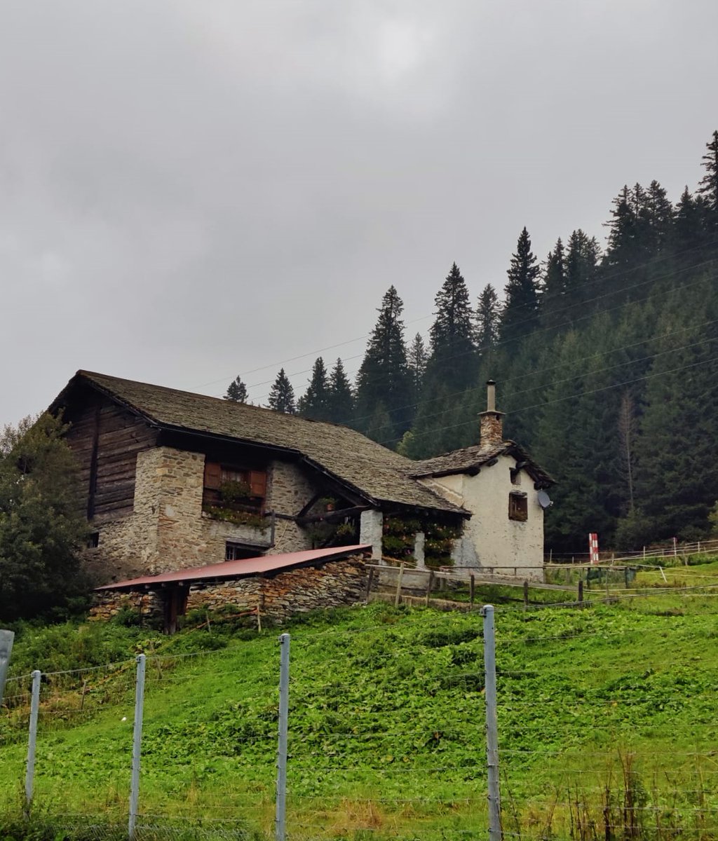 TheRKVarma's tweet image. Her abode of love
Amid #serene surroundings
Was heaven on earth

#HaikuChallenge #FiveSevenFive #AmWriting
