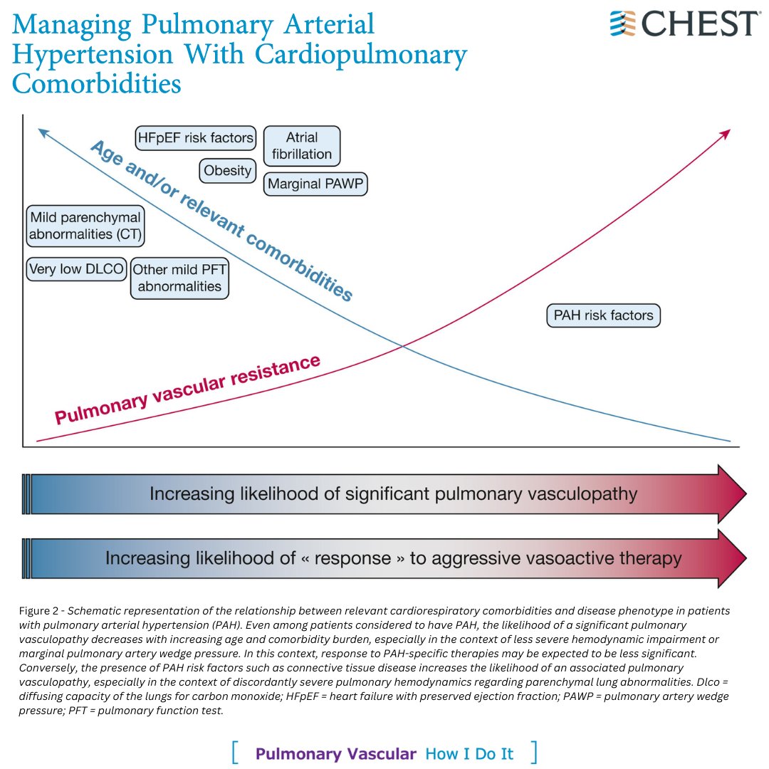 A How I Do It article from the March issue of the journal CHEST® highlights the changing epidemiology of pulmonary hypertension and the impact of cardiometabolic and pulmonary comorbidities. Read the full article: hubs.la/Q02pG6T_0 #JournalCHEST #MedEd