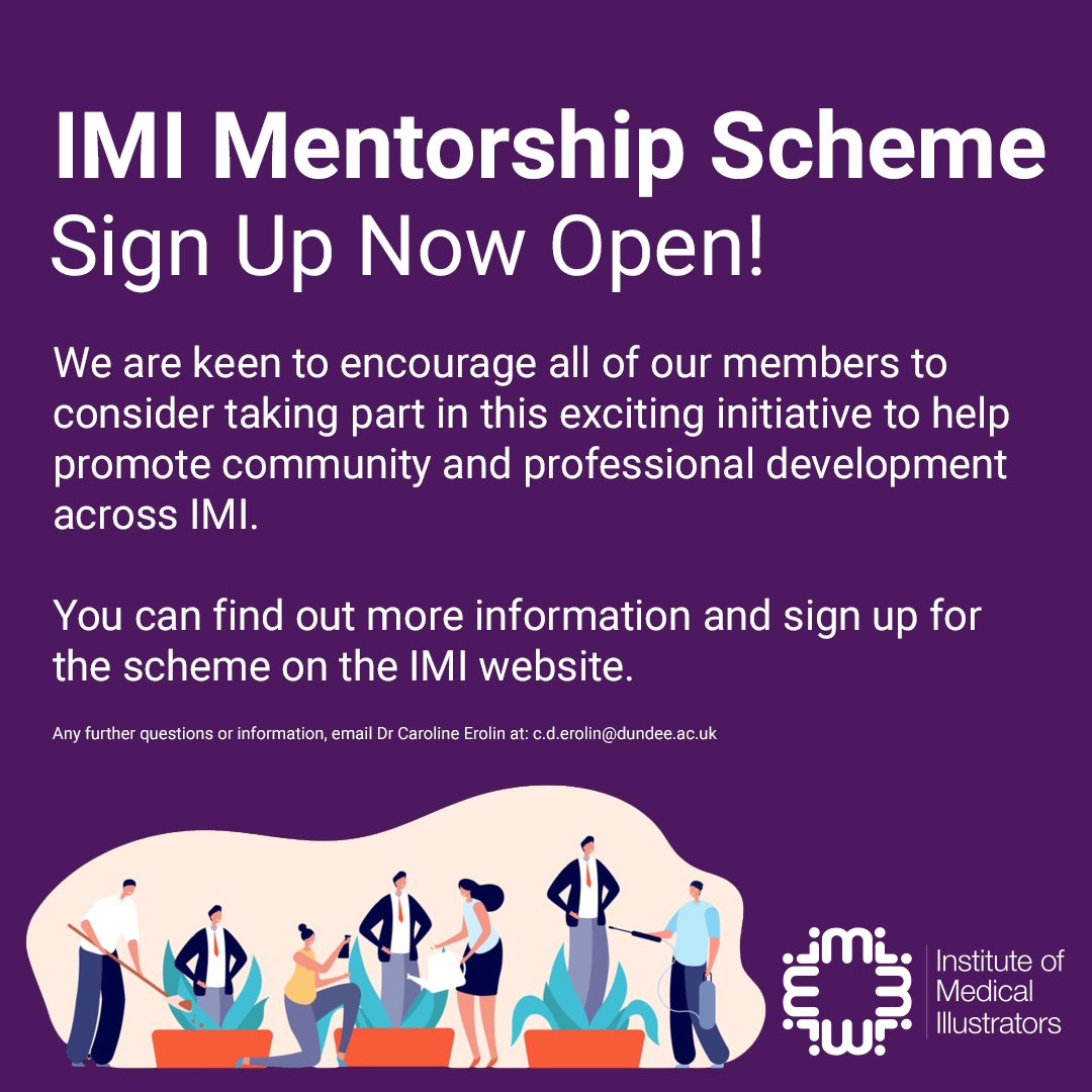 The IMI Mentorship scheme is now up and running! We are always looking for new applications so that we can make the best pairing between individuals.