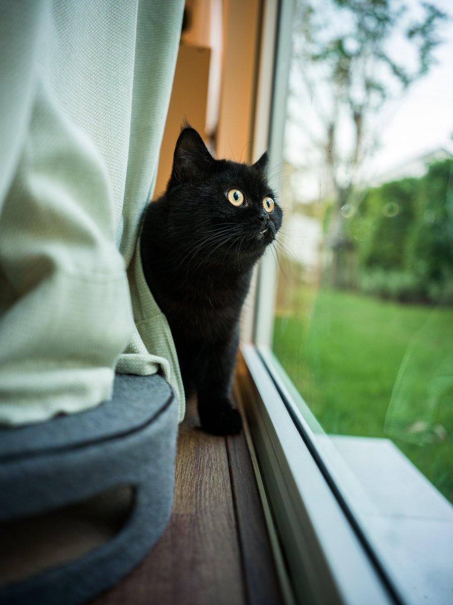 Drake_Laedeke's tweet image. I GRADUATED!!

🗓️ 29th March 2024
🕒 12:00-16:00 PM
📍University of the Thai Chamber of Commerce (UTCC)