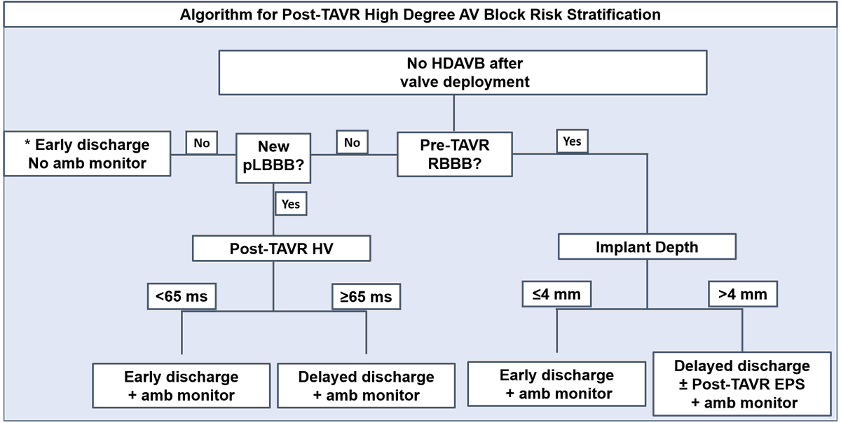 MRaadMD's tweet photo. #EPeeps #SHD check our #TAVR Conduction Study results: The EP study's role in AV block risk stratification, identifying low/high-risk patients, and determining optimal post-op discharge timing after TAVR
https://t.co/BRURcfpPLu @HFHCardioFellow  @PennEPFellows #cardiotwitter https://t.co/rKtWSNdK8n