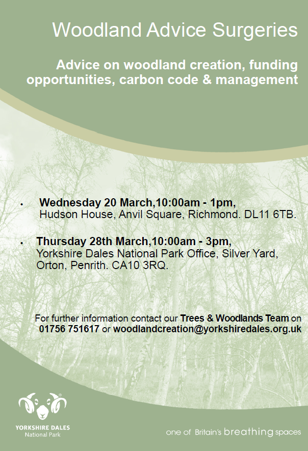 Thinking about planting trees on your land in the @yorkshire_dales? Or would you like some advice on how to manage your existing woodland? Our Trees & Woodlands Team, in partnership with @whiteroseforest, are running drop-in Woodland Advice Surgeries this month👇