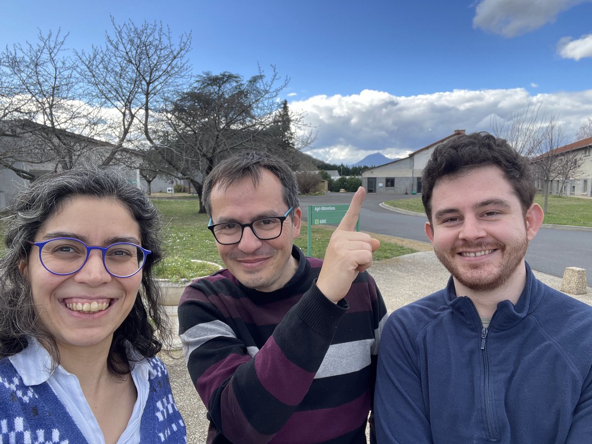 Zeynep Ersoy tweet media