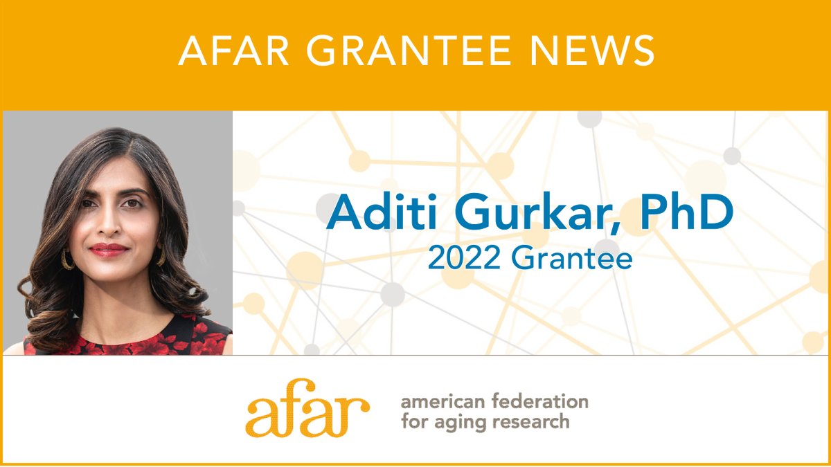 New #research by AFAR & @hevolution_f 2022 Grantee Aditi Gurkar, PhD, of @PittDeptofMed on the molecular index of biological aging recently published in @AgingCell. Read more here:ow.ly/xbUp50QVuQZ @healthspan_AUG
